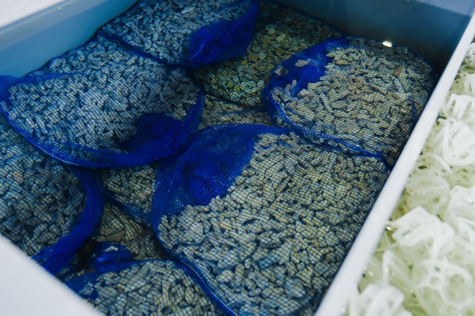 陸上養殖設備の写真