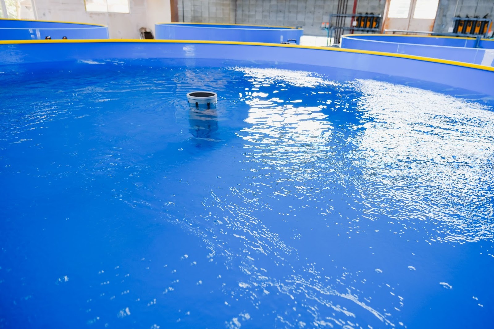 陸上養殖設備の写真