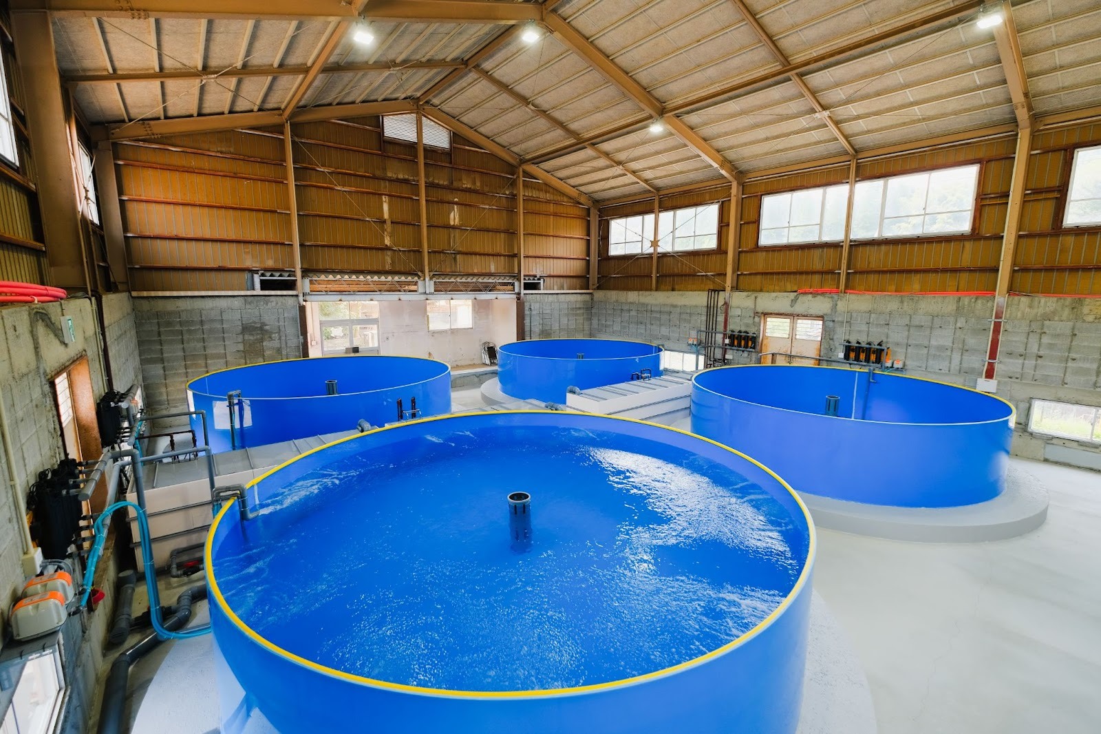 陸上養殖施設の写真