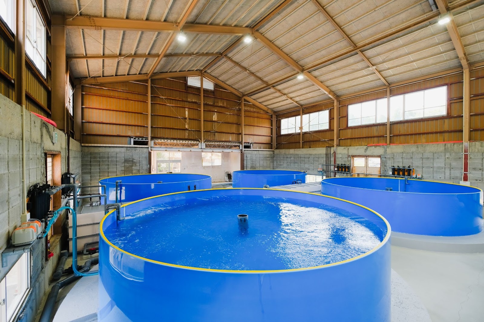 陸上養殖設備の写真